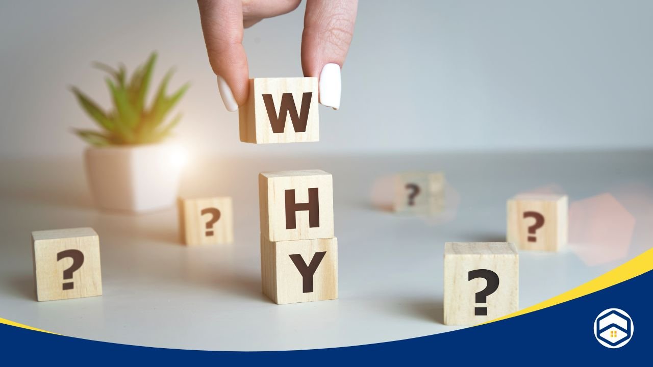 Wooden blocks spelling 'WHY' stacked on a table, surrounded by question mark blocks and a small potted plant in the background 