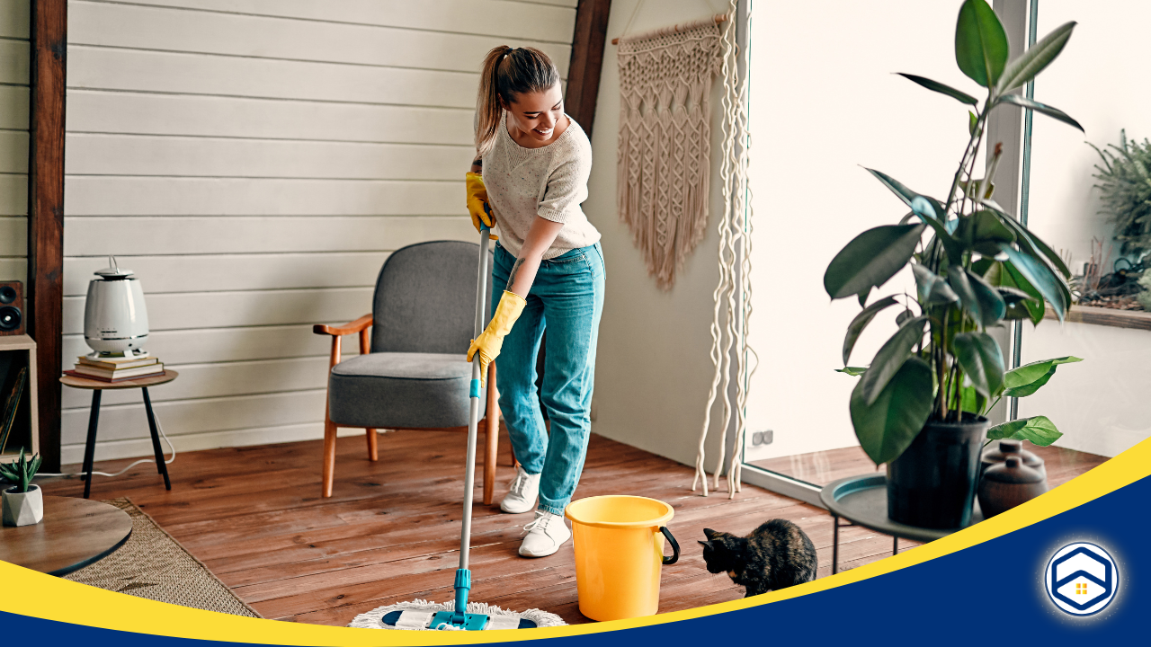 trash and recycling schedule apartment