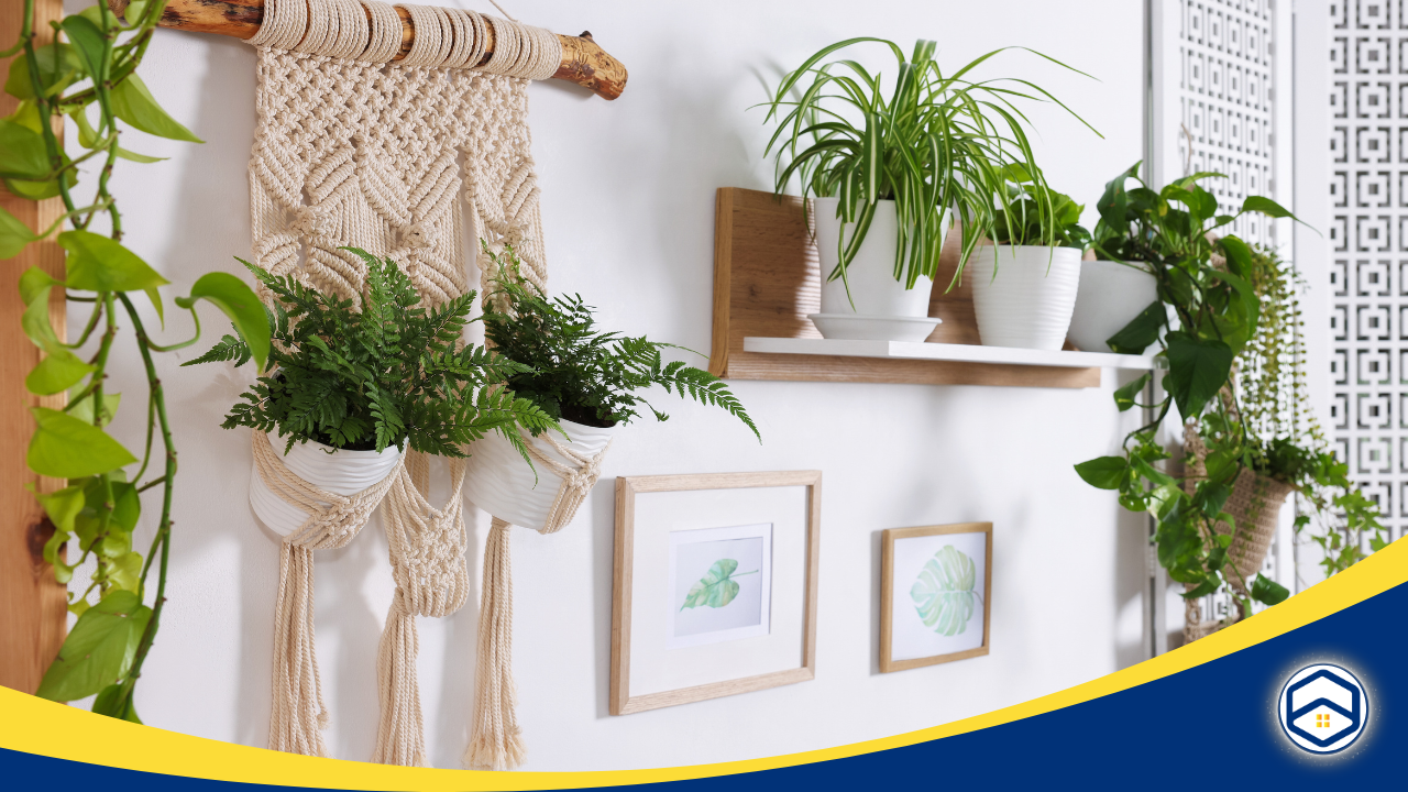 renter friendly wall hanging methods